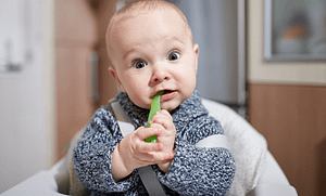 BLW Yöntemiyle Bebeğimin Doyduğunu Nasıl Anlarım?