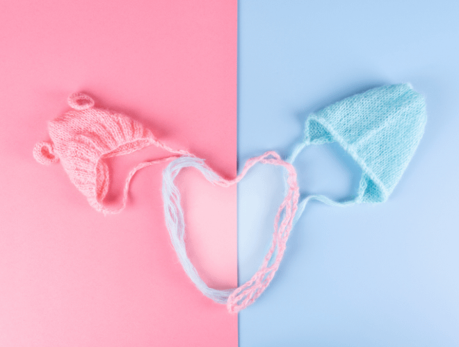 Gebelikte Bebeğin Cinsiyeti Ne Zaman ve Nasıl Belli Olur?