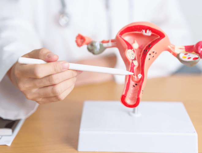 Geç Döllenme Nedir?