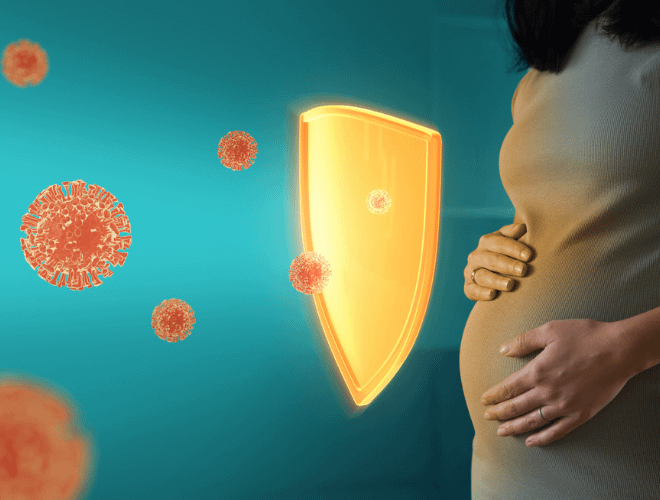 Anne ve Bebek İçin Koruyucu Bir Kalkan İmmünoglobülin G (IgG) Proteini