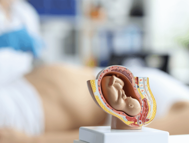 Doğum Zamanı Bebeğin Ters Durması Ne Demek?