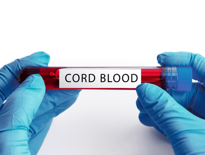 Kordon Kanı Bankası Ne İşe Yarar?