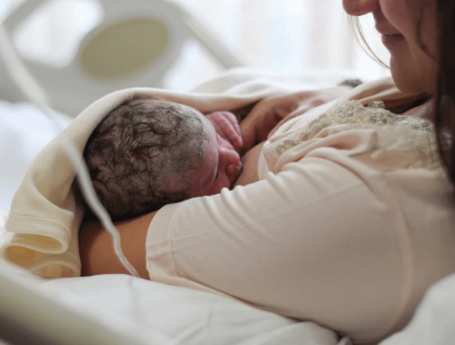 Kolostrum Yenidoğan İçin Hayati Öneme Sahip İlk Besin