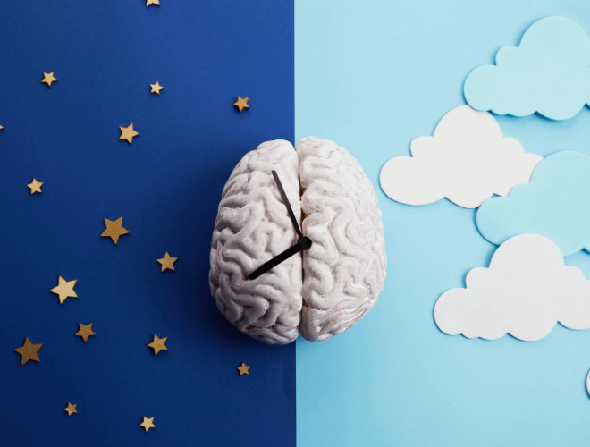 Gebelikte Melatonin Kullanımı