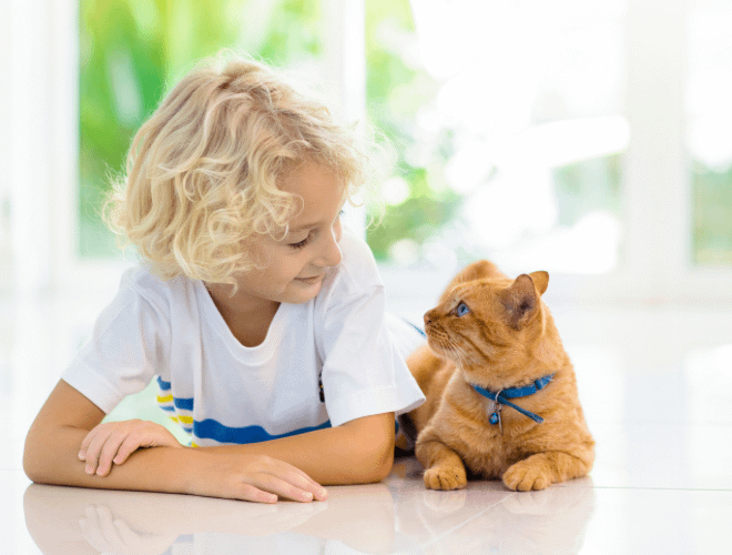 Çocuklara Evcil Hayvan Sahiplenmek İçin En Uygun Yaş Hangisidir?