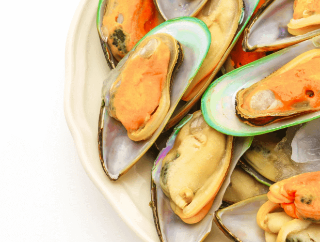 Emziren Anneler Midye Tüketebilir mi? &nbsp;