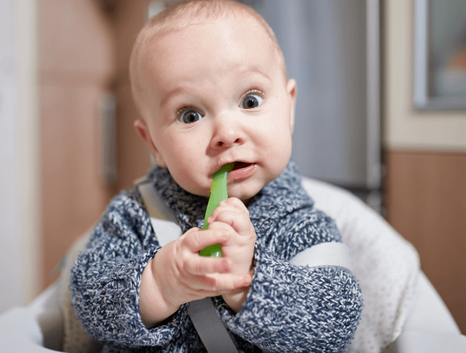 BLW Yöntemiyle Bebeğimin Doyduğunu Nasıl Anlarım?