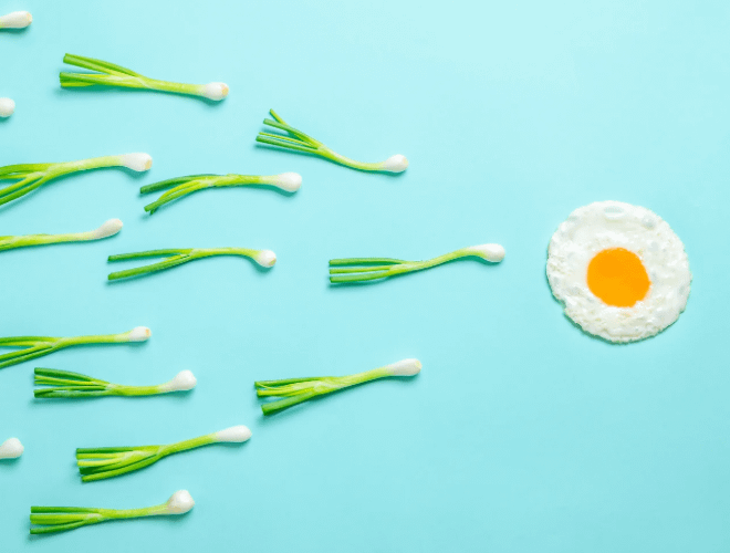 Gebe Kalma Olasılığını Arttıran Besinler