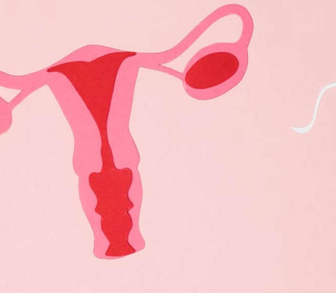 Tüp Bebek Tedavisi Yaşı ve Süresi