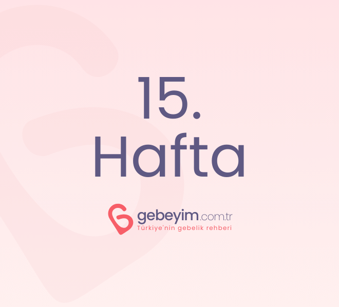 Gebeliğin 15. Haftası