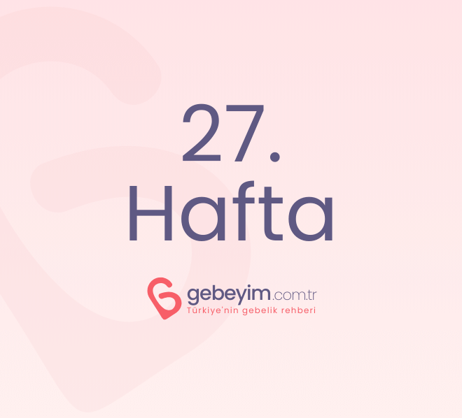 Gebeliğin 27. Haftası