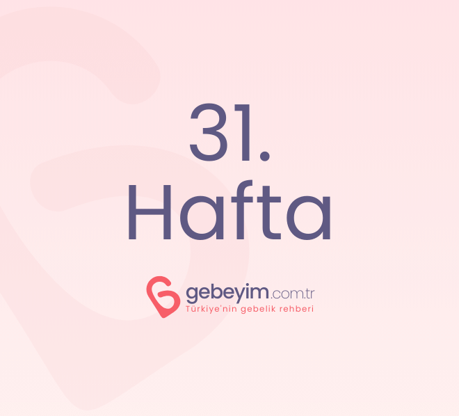 Gebeliğin 31. Haftası