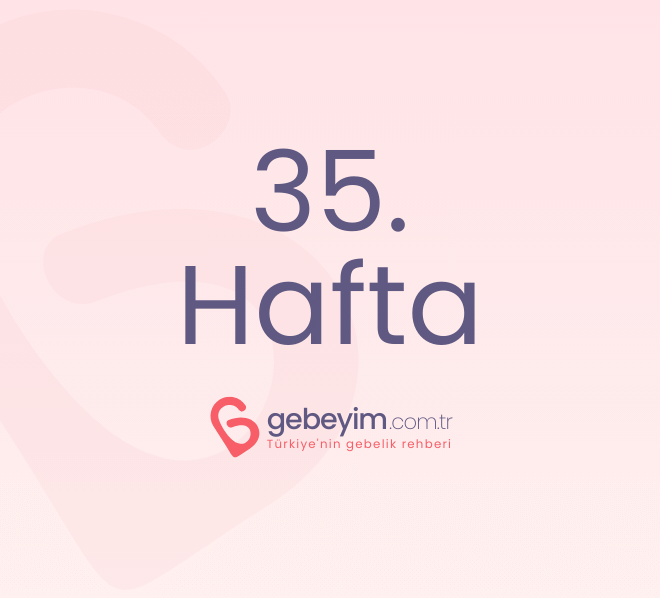 Gebeliğin 35. Haftası