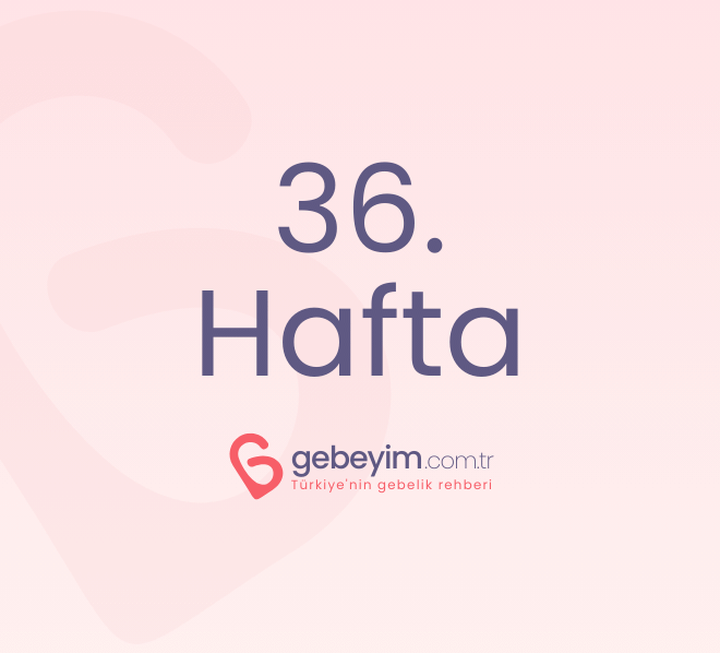 Gebeliğin 36. Haftası