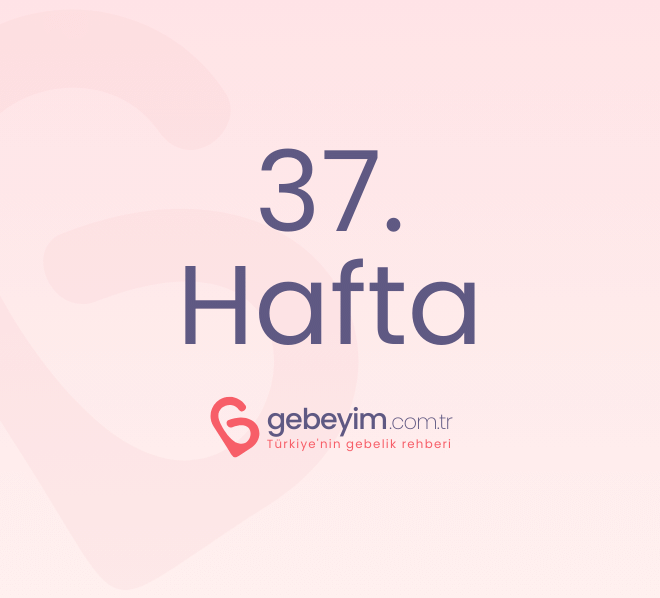 Gebeliğin 37. Haftası