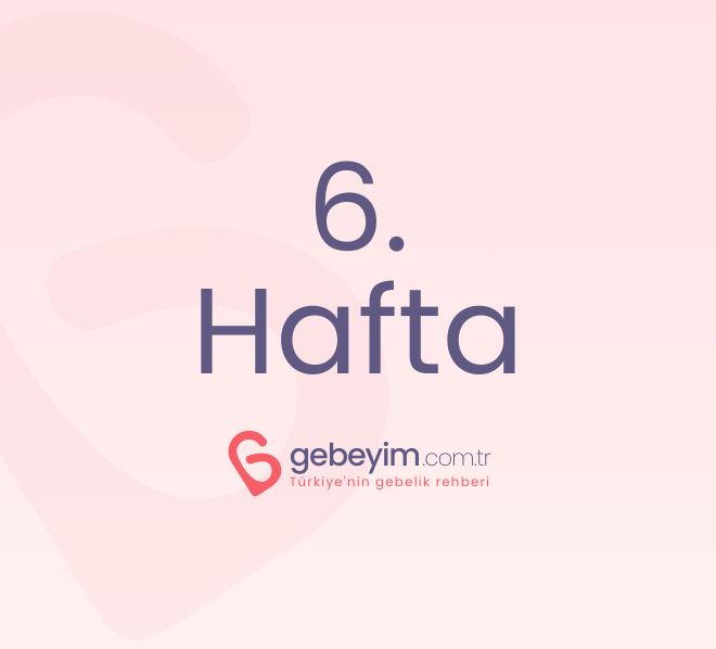 Gebeliğin 6. Haftası