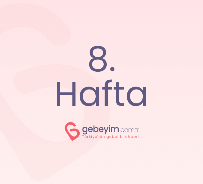 Gebeliğin 8. Haftası