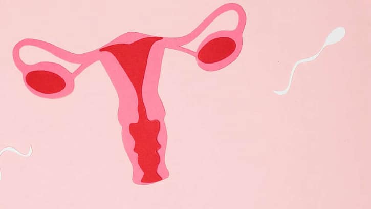 Tüp bebek tedavisi yaşı, tüp bebek tedavisi süresi