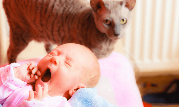 baslik-2-1.png • Türkiye'nin Gebelik Rehberi baslik-2-1-9