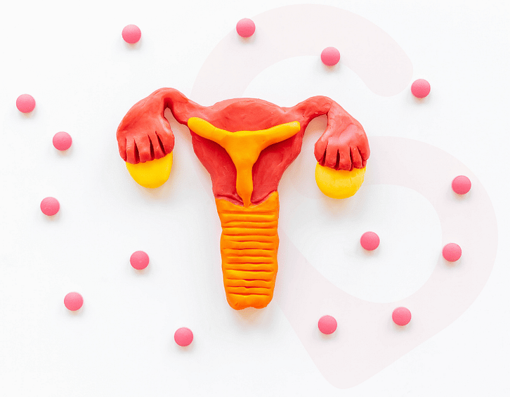 gebeyim-yumurta-reszervi