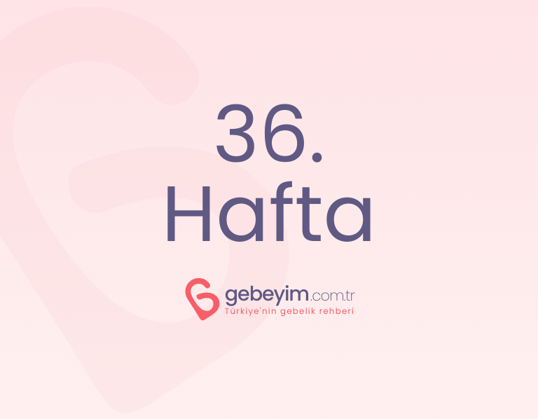 Gebeliğin 36. Haftası